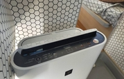 メモリーズ号　おしゃれな内装！空気清浄機付き！画像